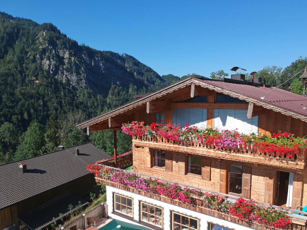Berg'K'Hof Kaisertal - Alpine Hideaway エープス エクステリア 写真